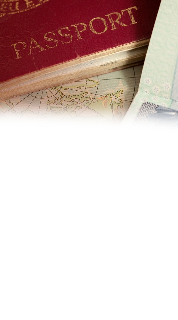 Translation services